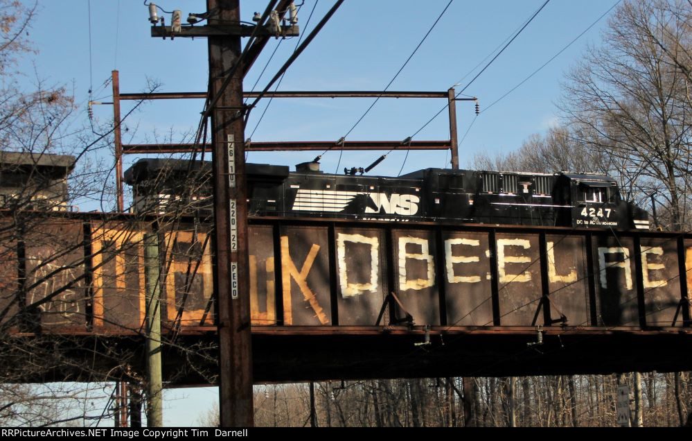 NS 4247 leads 20Q